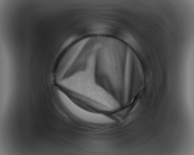X0000083040160200703022056