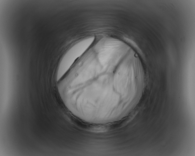 X0000083040161200703022056