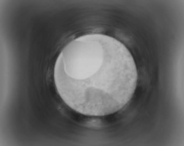 X0000083040162200703022056