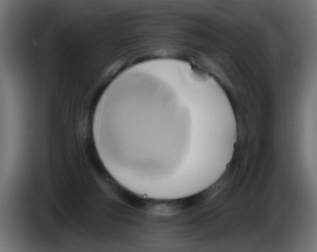 X0000083040163200703022056