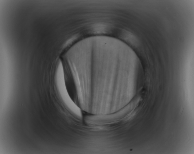 X0000083040164200703022056