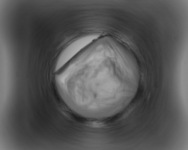 X0000083040165200703022056