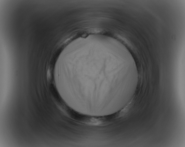 X0000083040166200703022056