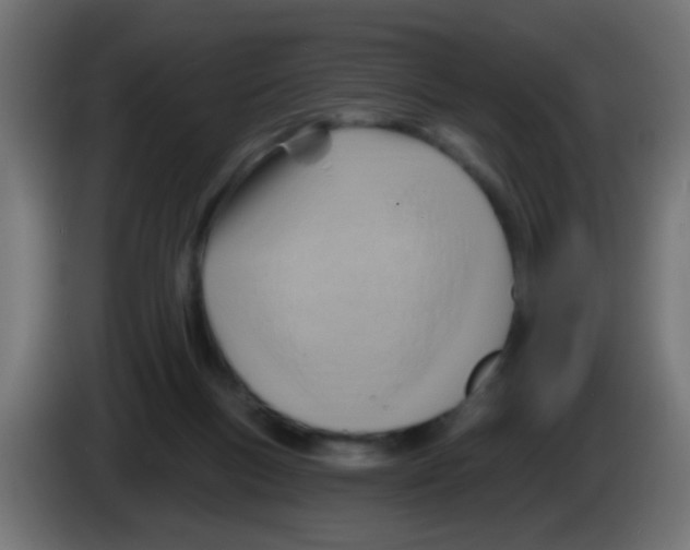 X0000083040167200703022056