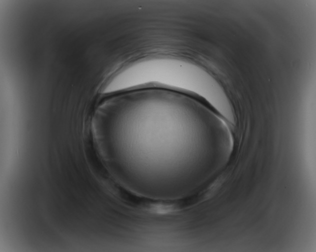 X0000083040168200703022056