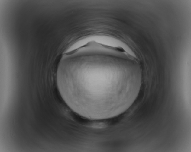 X0000083040169200703022056