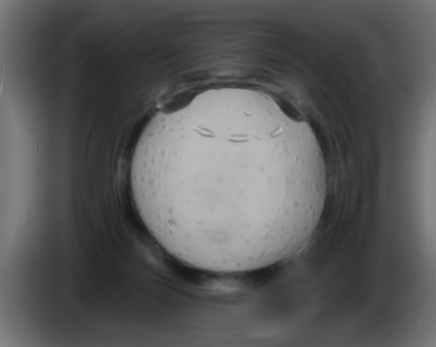 X0000083040171200703022056