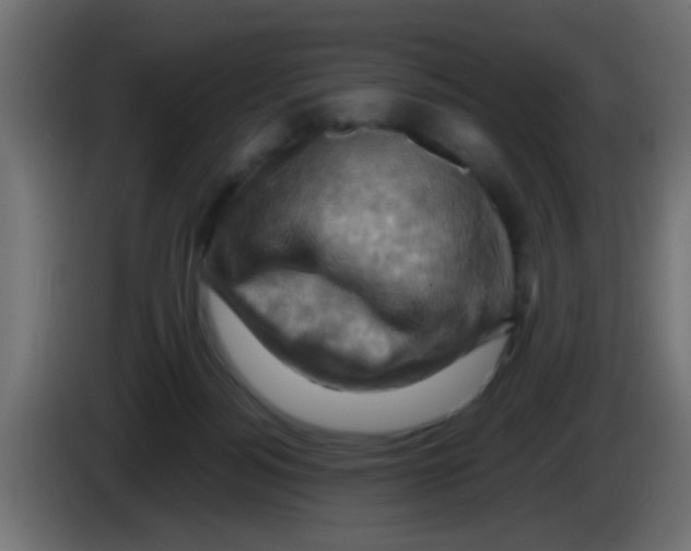 X0000083040172200703022056