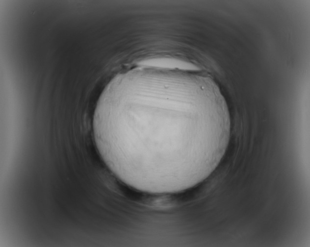 X0000083040173200703022056