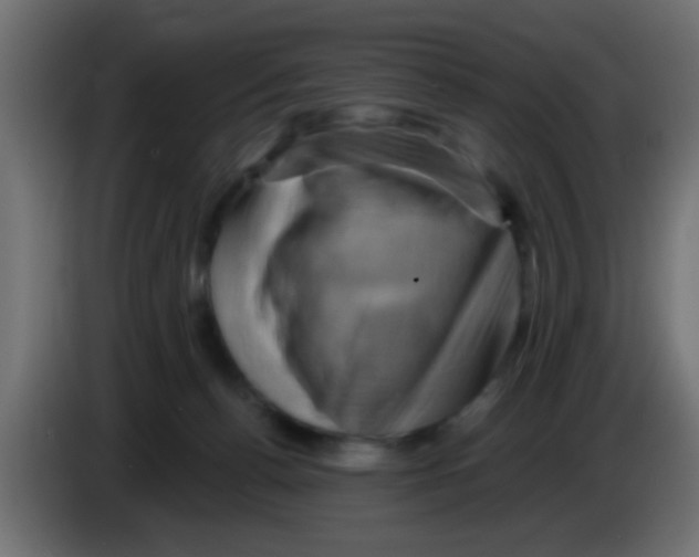 X0000083040176200703022056