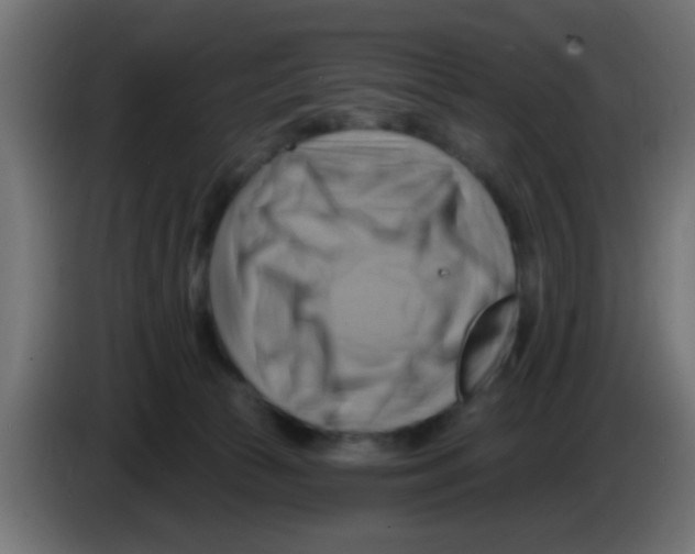 X0000083040177200703022056