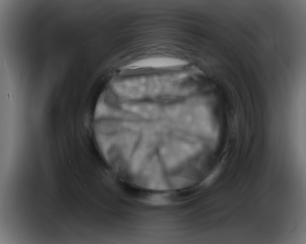 X0000083040178200703022056