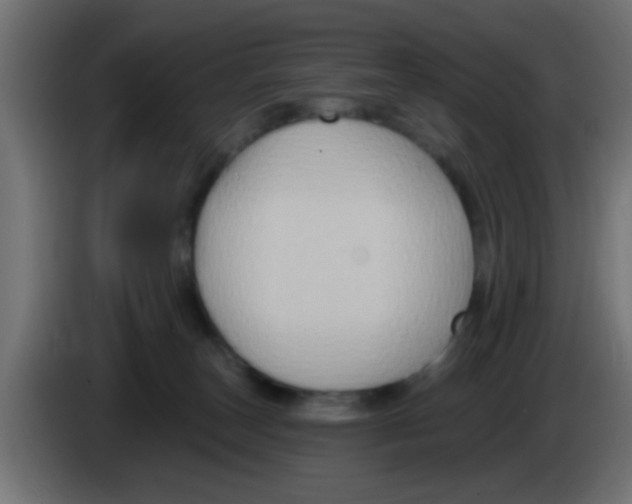 X0000083040179200703022056