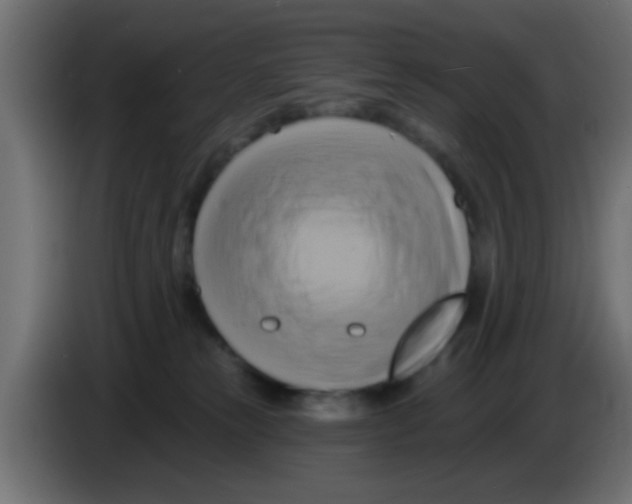 X0000083040181200703022056