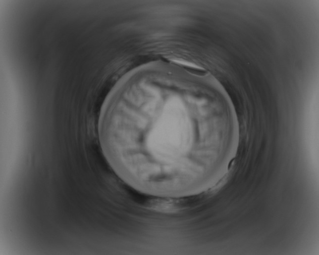 X0000083040182200703022057