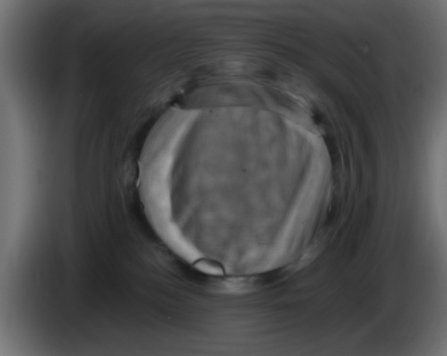 X0000083040184200703022057