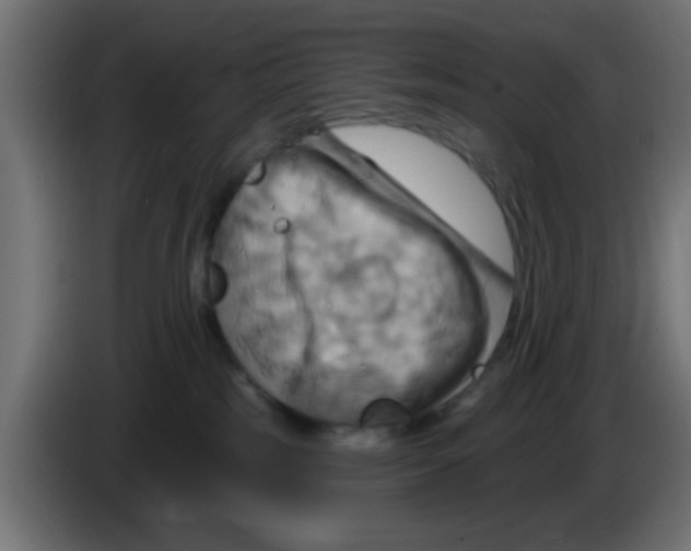 X0000083040185200703022057