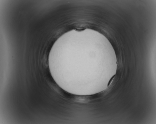 X0000083040187200703022057