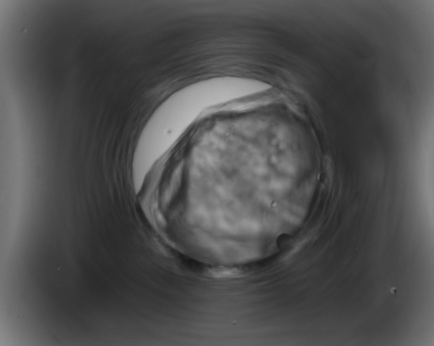 X0000083040189200703022057