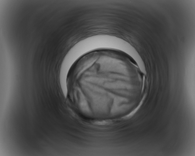 X0000083040190200703022057