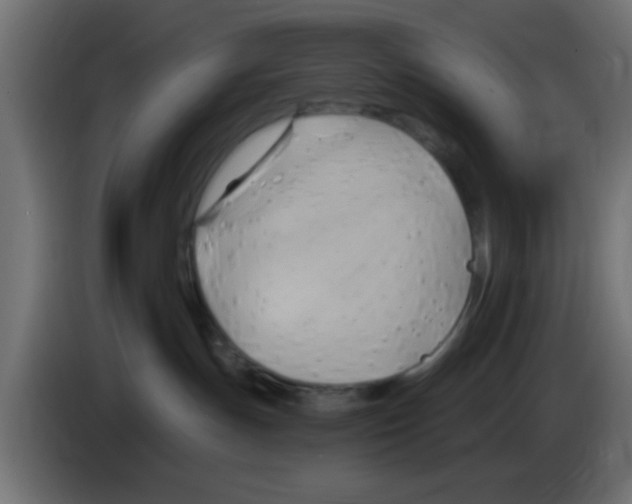 X0000083040191200703022057