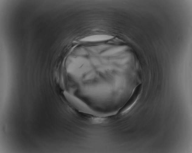 X0000083040192200703022057