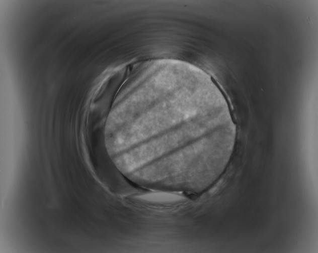 X0000083040193200703022056