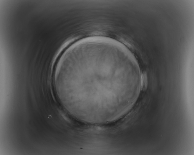 X0000083040195200703022056