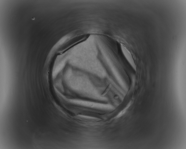 X0000083040197200703022056