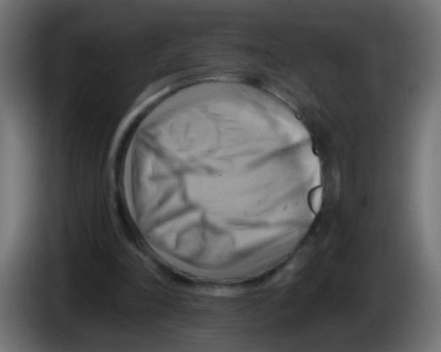 X0000083040198200703022056