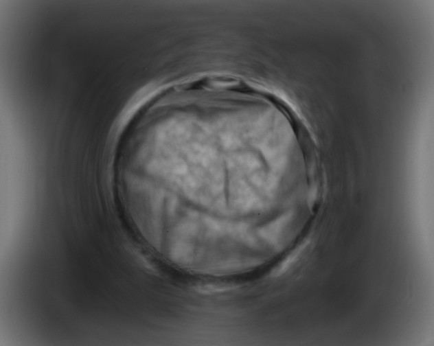 X0000083040199200703022056