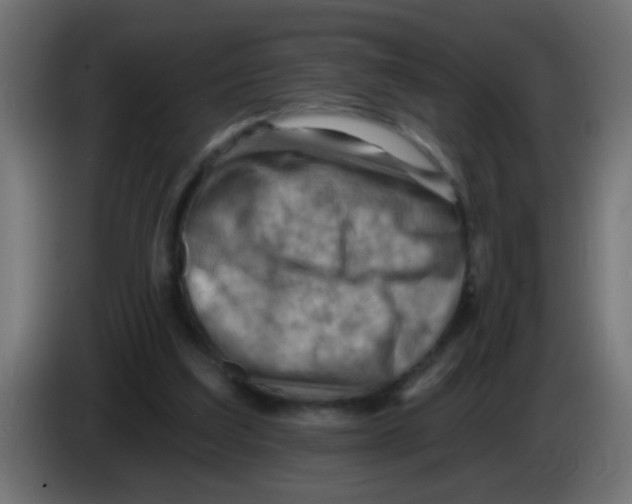 X0000083040203200703022056