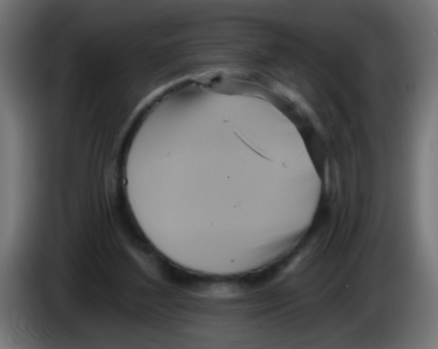 X0000083040204200703022056