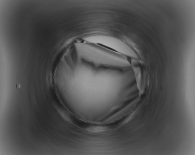 X0000083040205200703022056