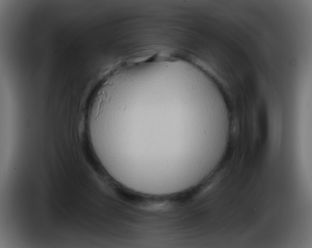 X0000083040206200703022056