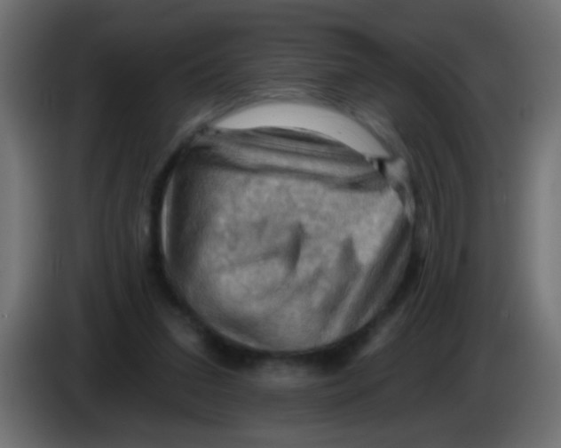 X0000083040207200703022056