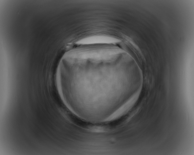 X0000083040209200703022056