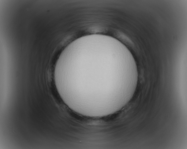 X0000083040210200703022056