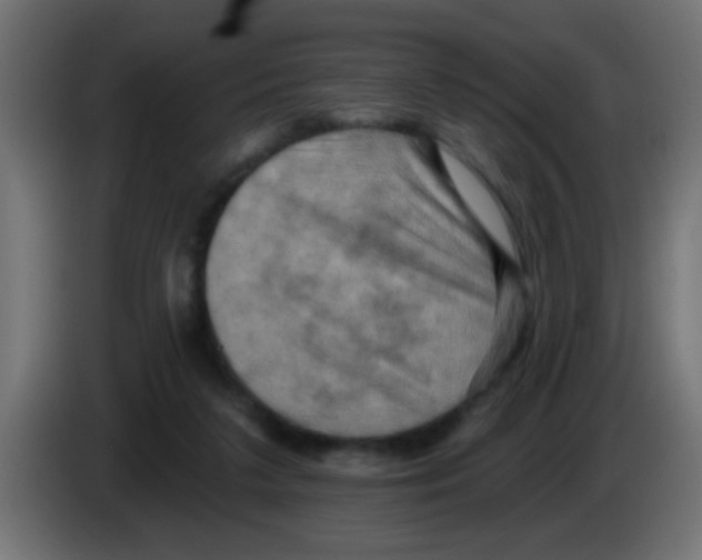X0000083040211200703022056