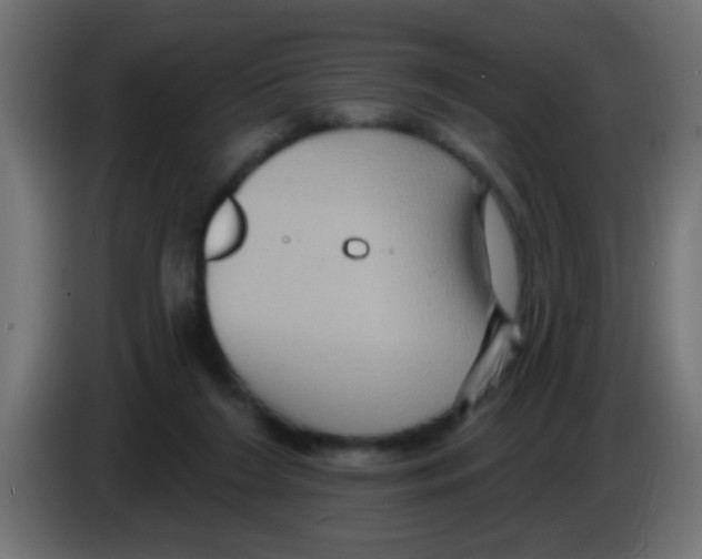 X0000083040212200703022056