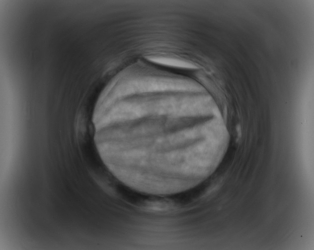 X0000083040215200703022056