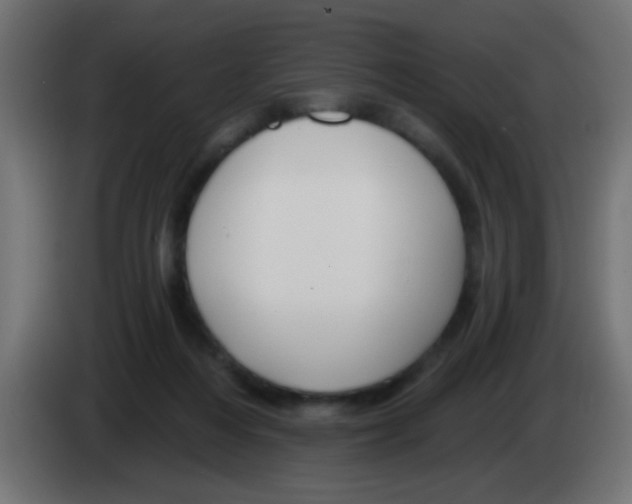 X0000083040216200703022056
