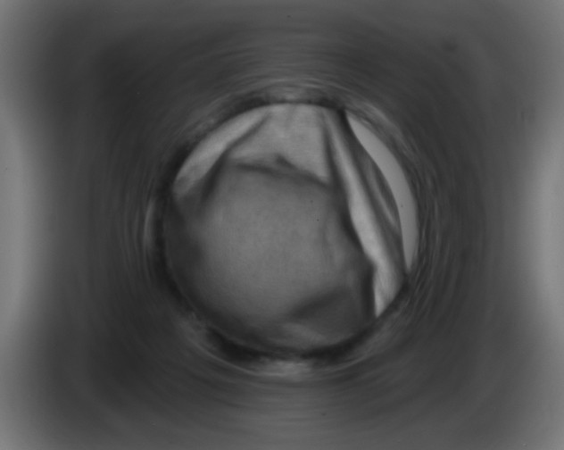 X0000083040217200703022056