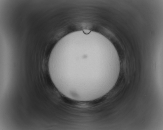 X0000083040218200703022056