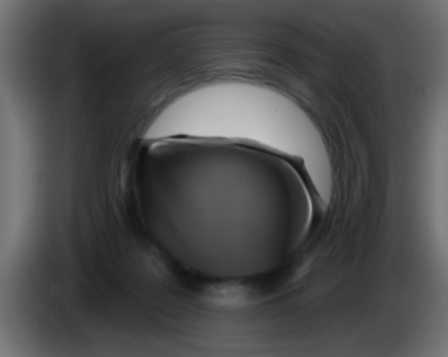 X0000083040219200703022056