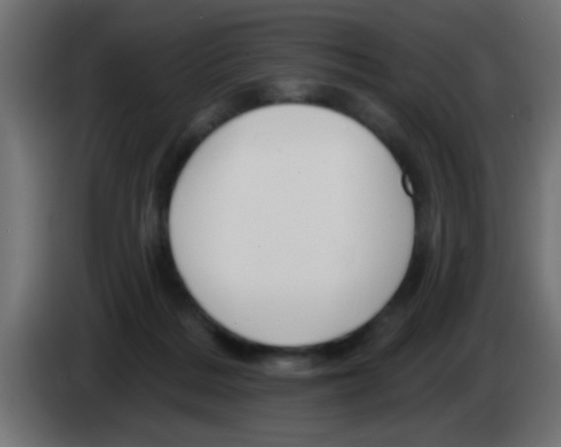 X0000083040220200703022056