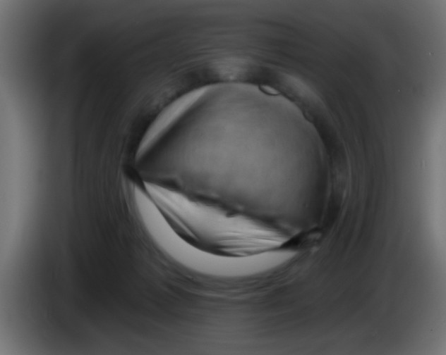 X0000083040221200703022056