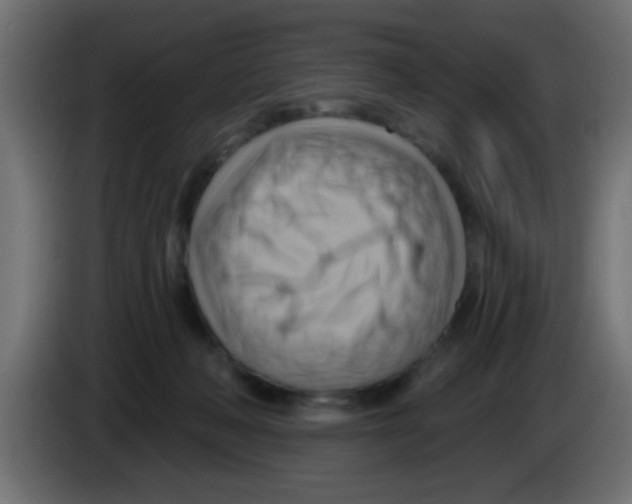 X0000083040222200703022056