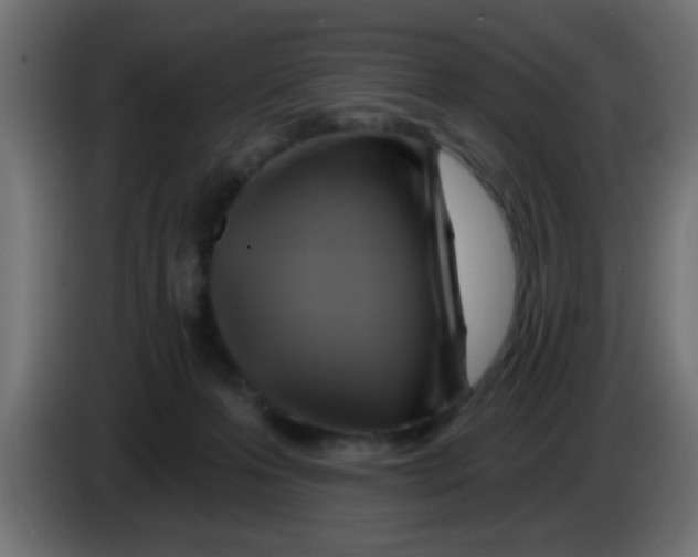 X0000083040223200703022056