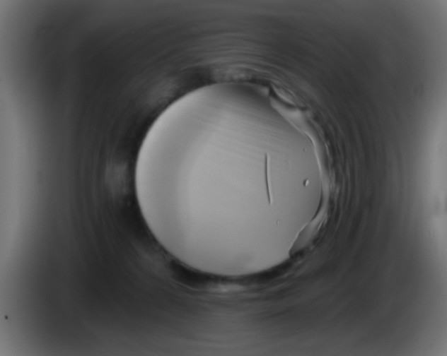 X0000083040224200703022056